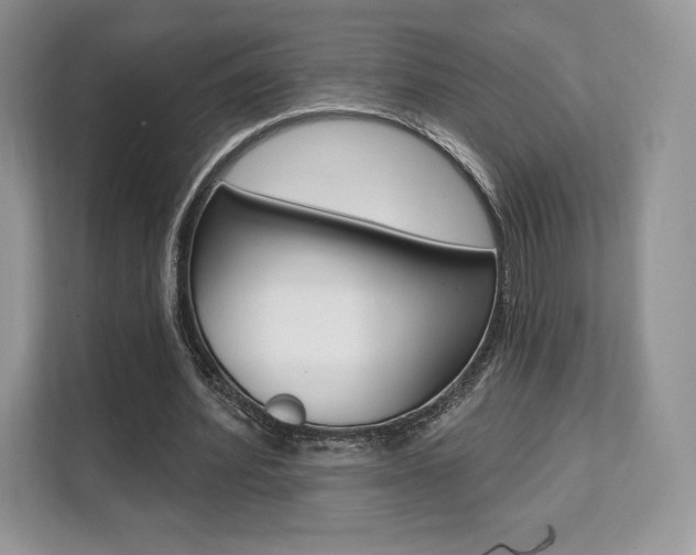 X0000112200580200908071245