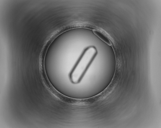 X0000112200581200908071245