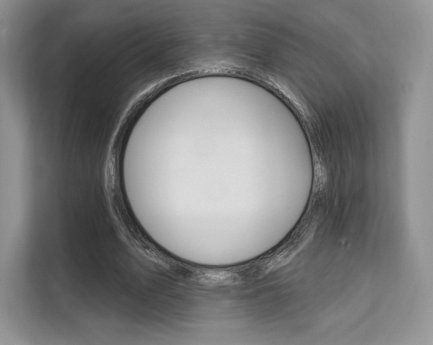 X0000112200583200908071245