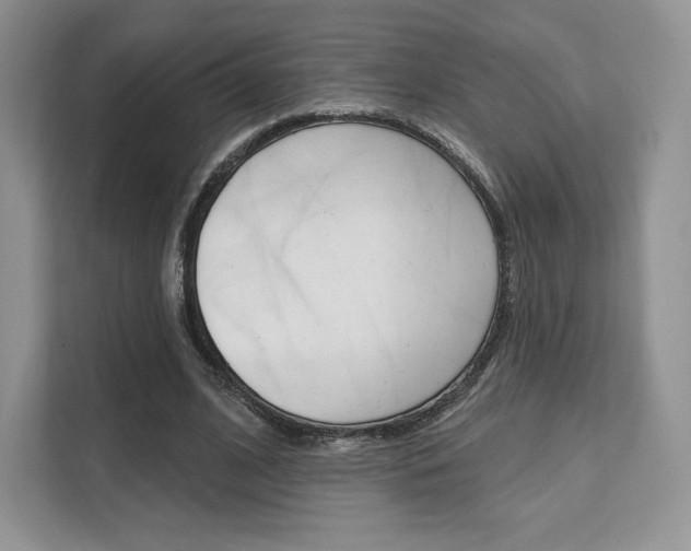 X0000112200584200908071245