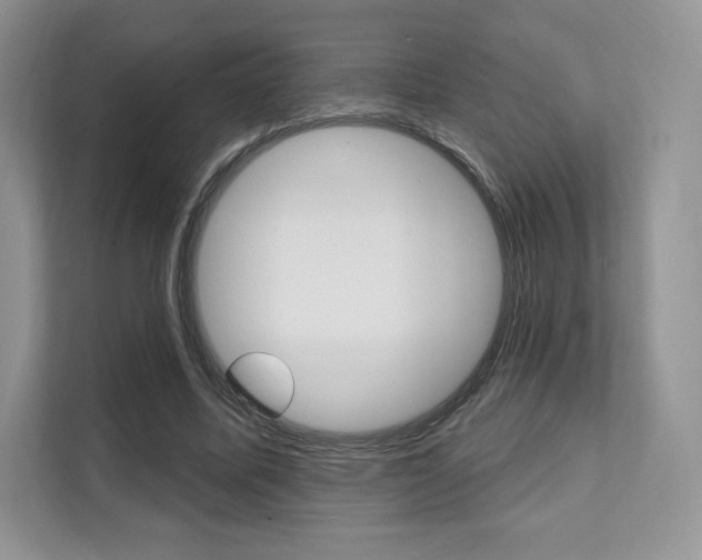 X0000112200587200908071244