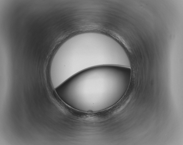 X0000112200589200908071244