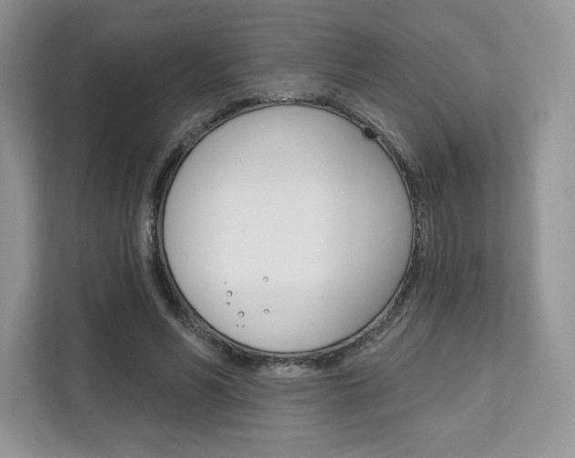 X0000112200590200908071244