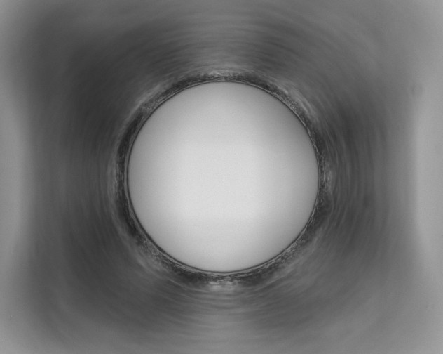 X0000112200591200908071244