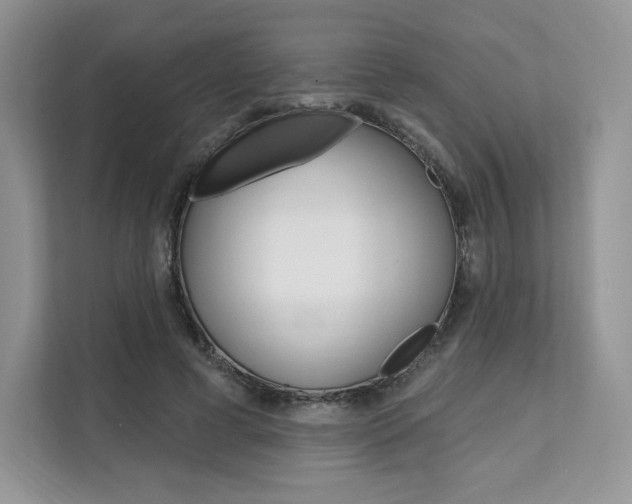 X0000112200593200908071244