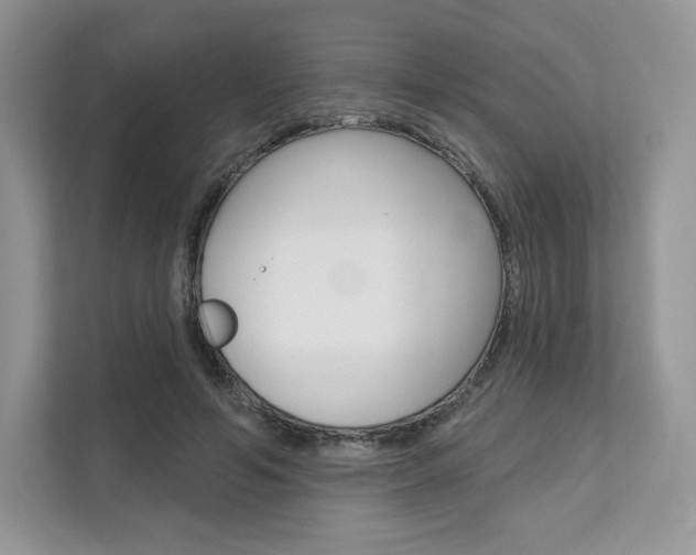 X0000112200594200908071244