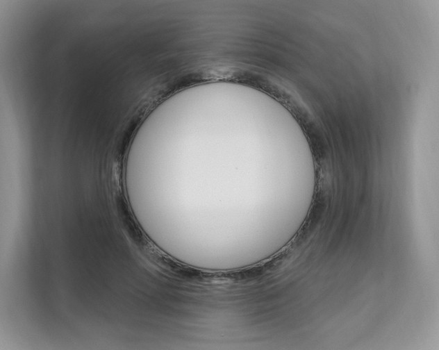 X0000112200598200908071244