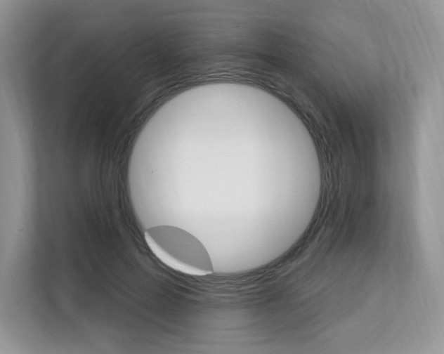 X0000112200599200908071244