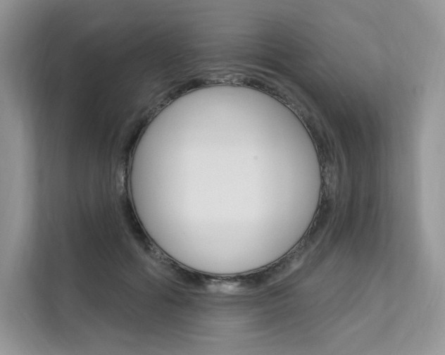 X0000112200602200908071244