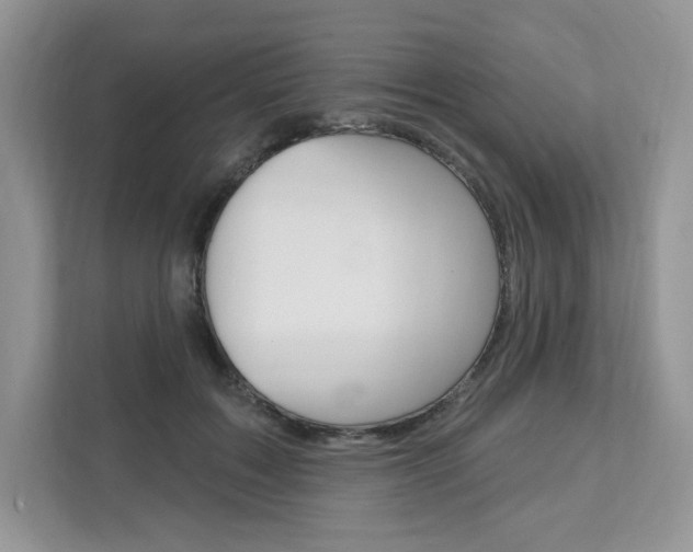 X0000112200603200908071244