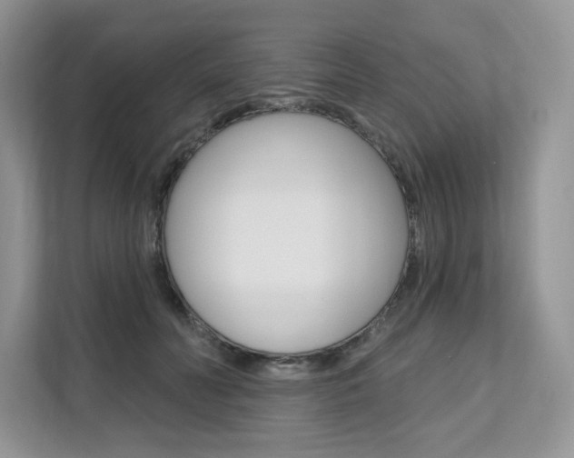X0000112200606200908071244