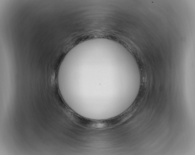 X0000112200610200908071244