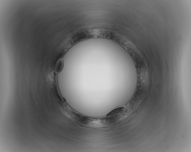 X0000112200611200908071244