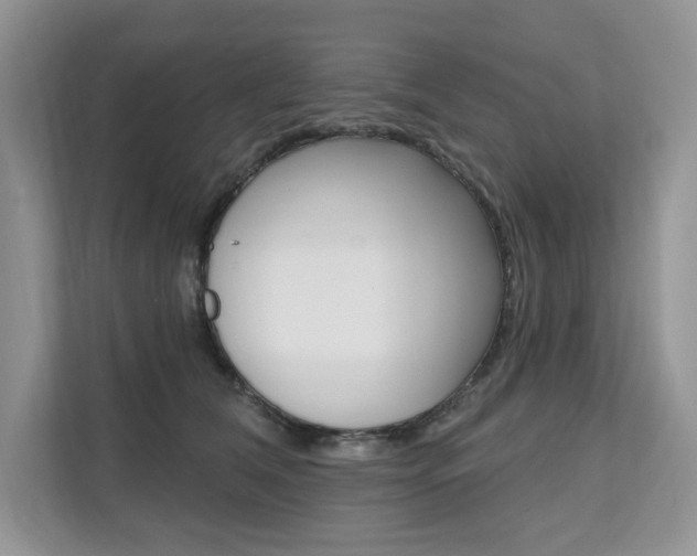 X0000112200612200908071244
