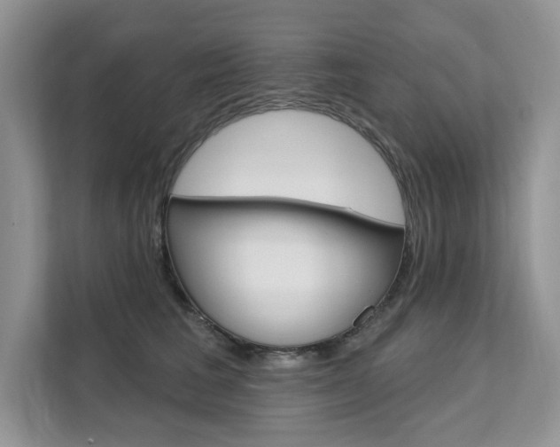X0000112200613200908071244