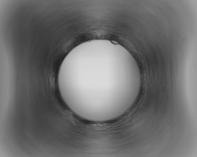 X0000112200615200908071244