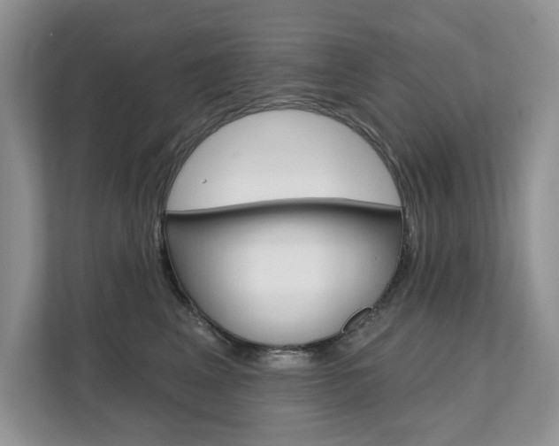 X0000112200617200908071244