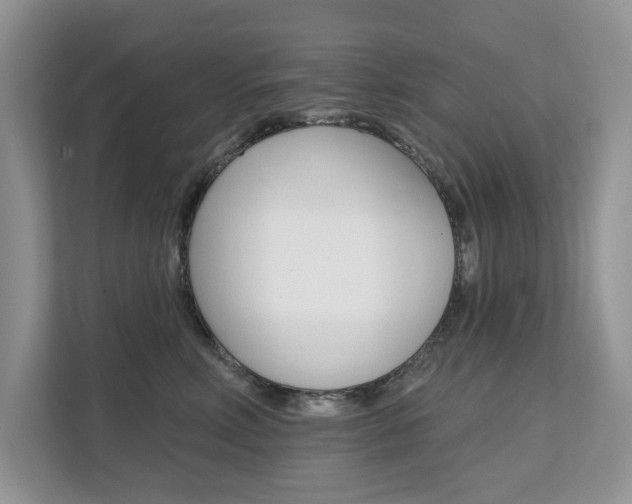 X0000112200618200908071244