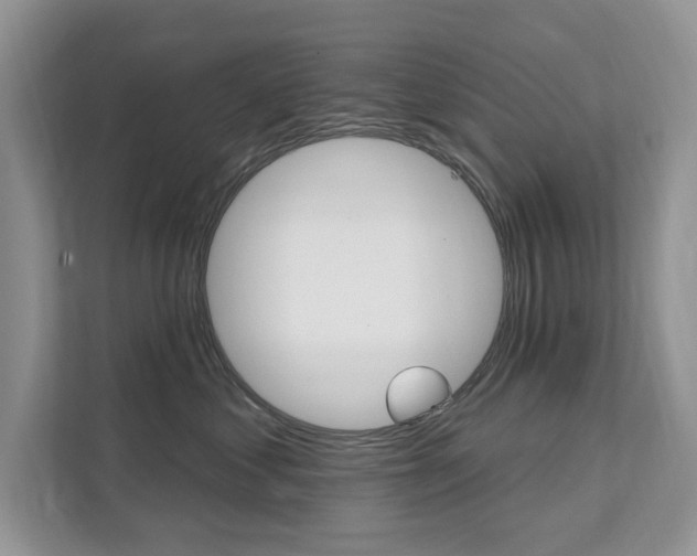 X0000112200621200908071244