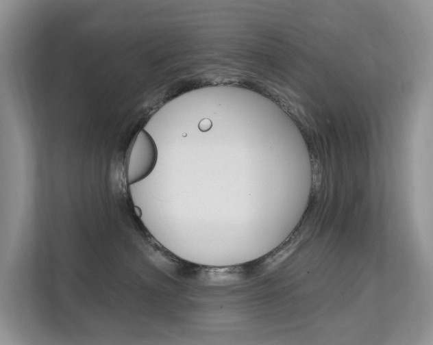 X0000112200622200908071244