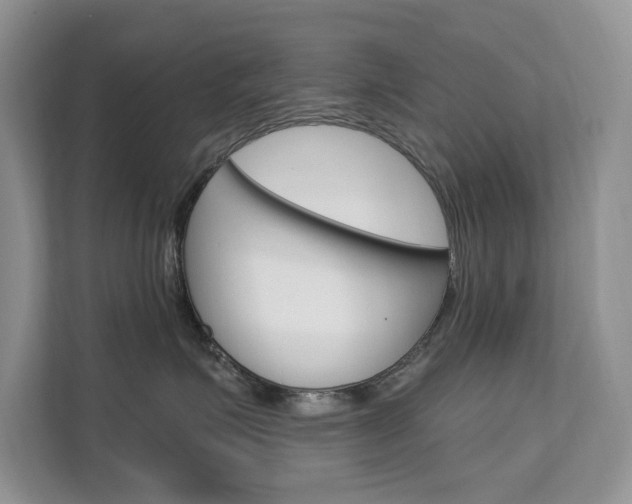 X0000112200623200908071244