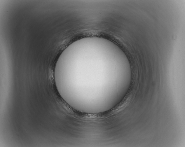 X0000112200624200908071244