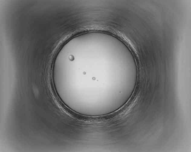 X0000112200625200908071243