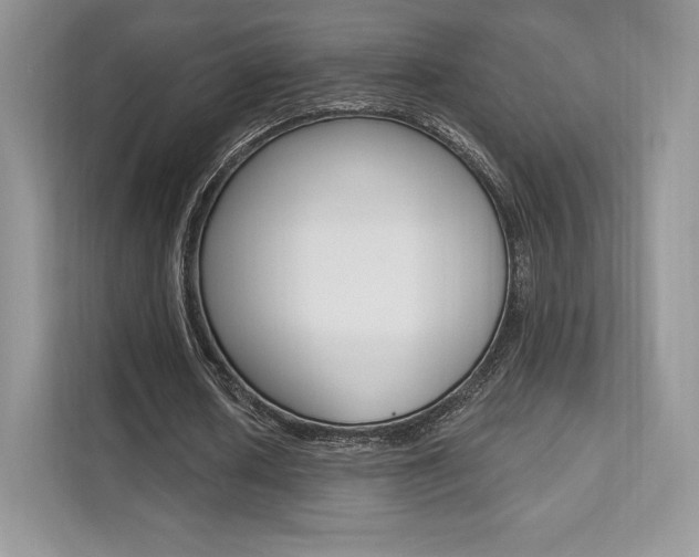 X0000112200626200908071243