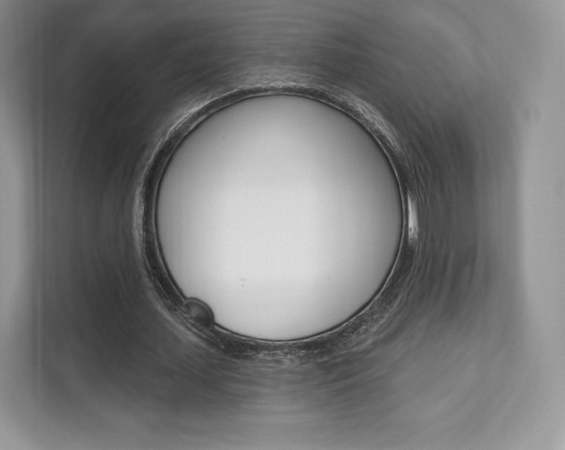 X0000112200627200908071243