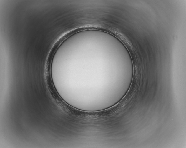 X0000112200628200908071243