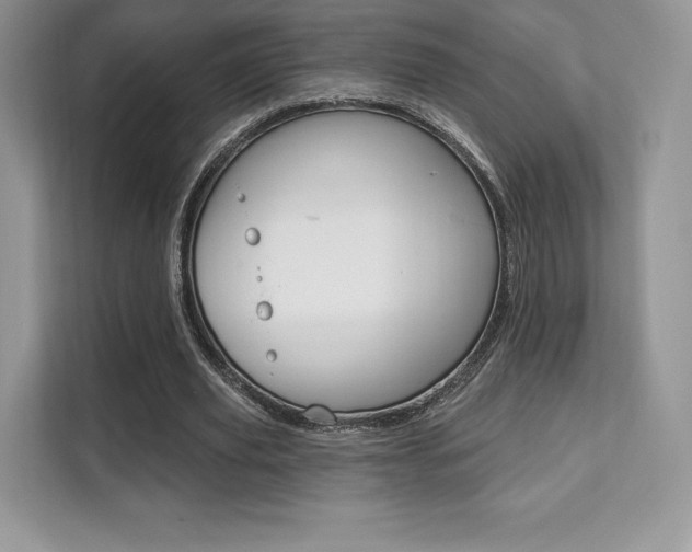 X0000112200629200908071243