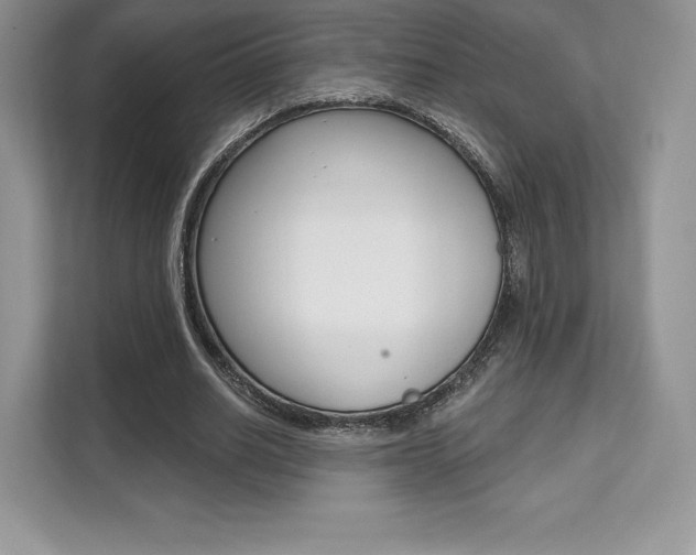 X0000112200630200908071243