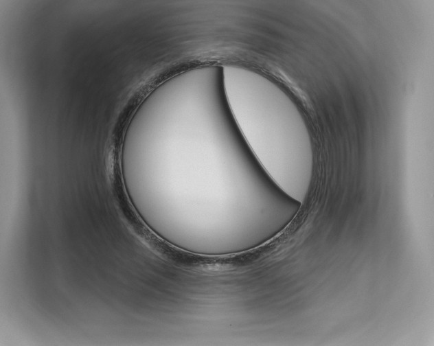 X0000112200637200908071244