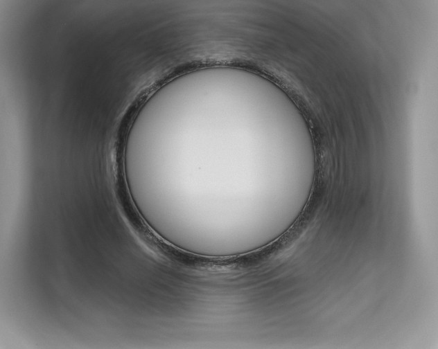 X0000112200638200908071244