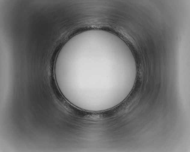 X0000112200639200908071244