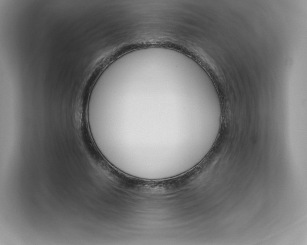 X0000112200640200908071244