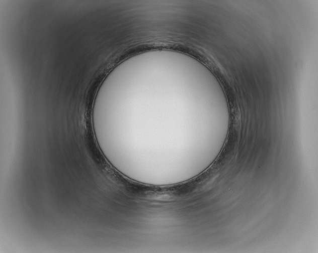 X0000112200643200908071244