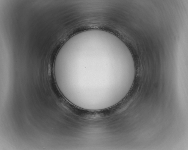 X0000112200646200908071244