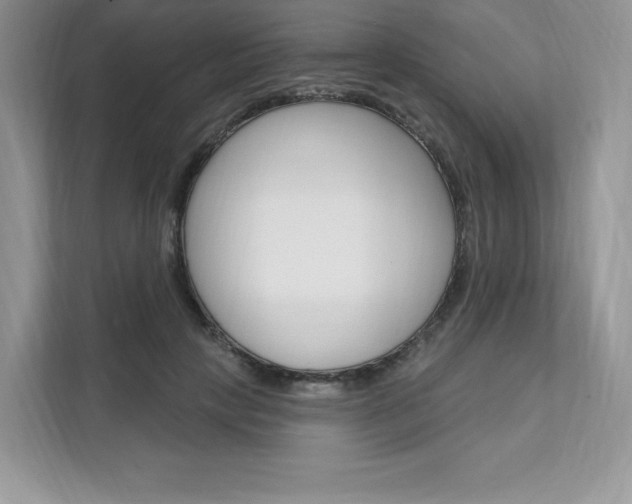 X0000112200649200908071244