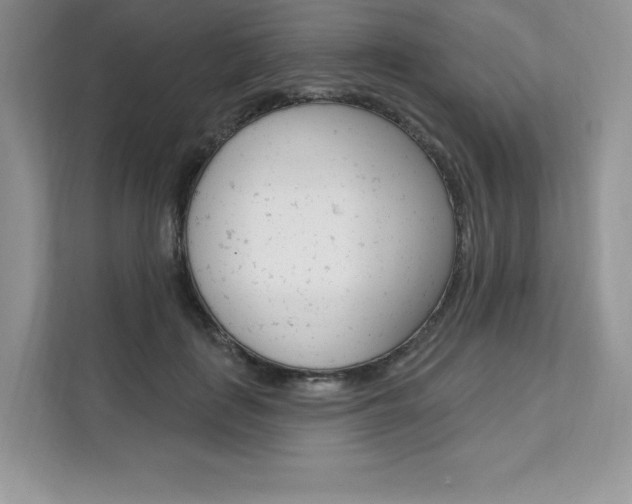 X0000112200651200908071244