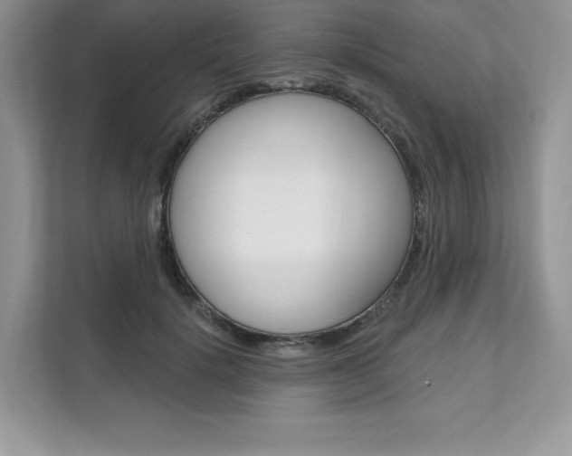 X0000112200652200908071244