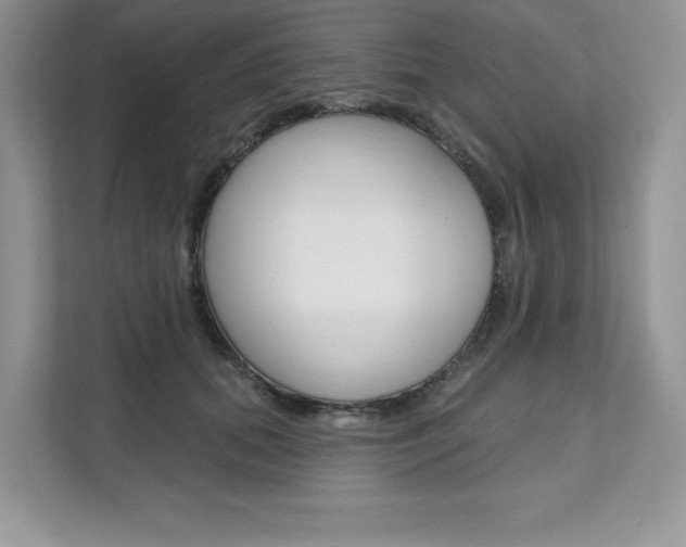X0000112200655200908071244