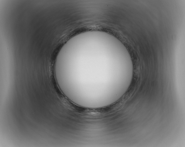 X0000112200658200908071244