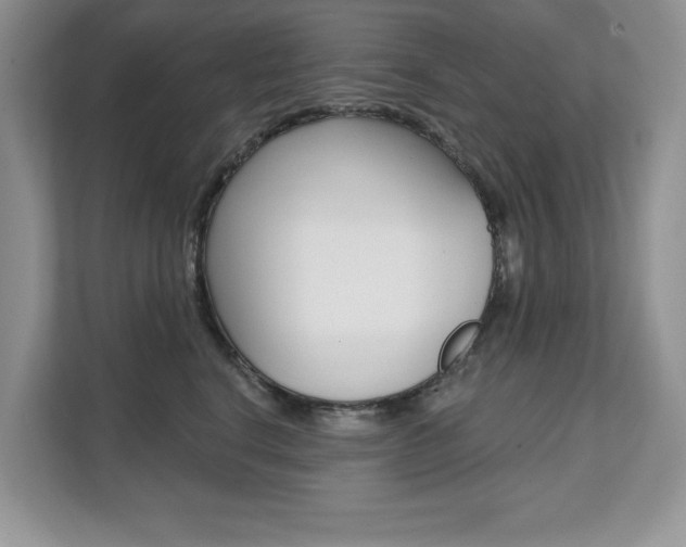 X0000112200664200908071244