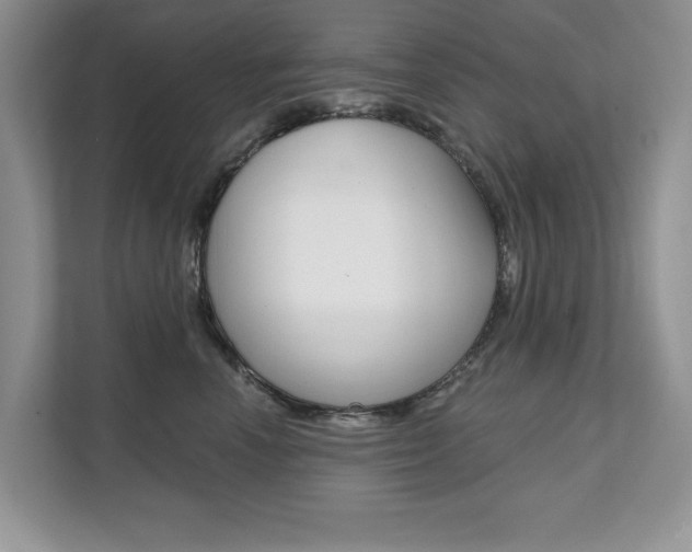 X0000112200666200908071244
