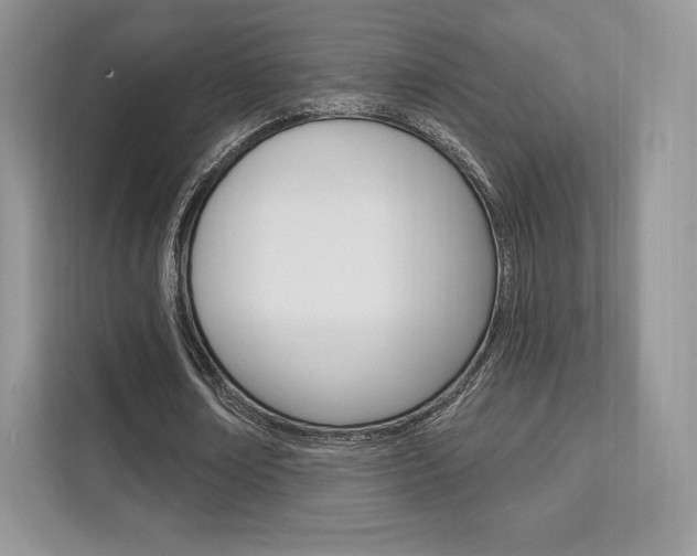 X0000112200674200908071243