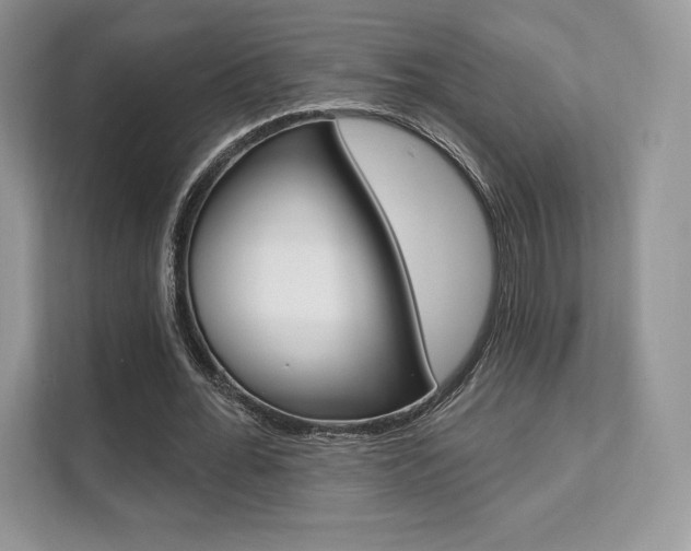 X0000112200676200908071243