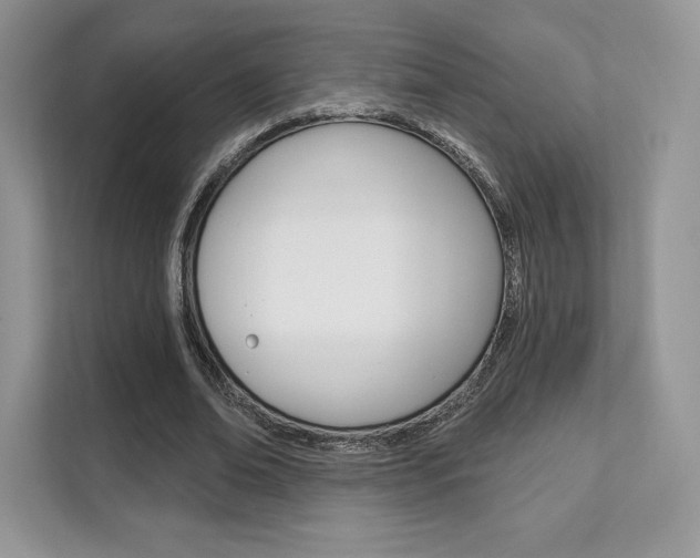 X0000112200678200908071243