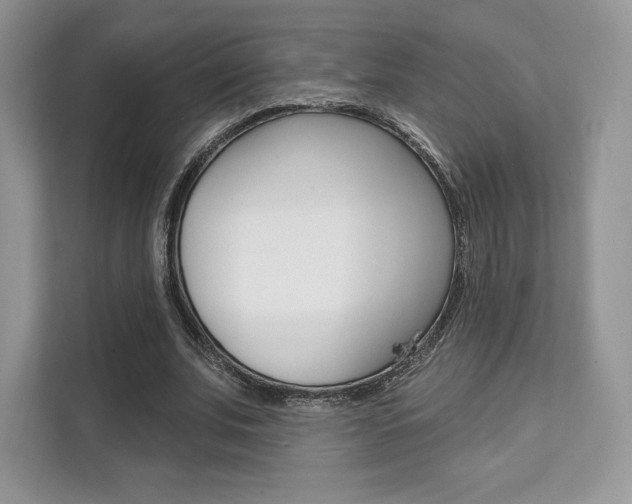 X0000112200679200908071243