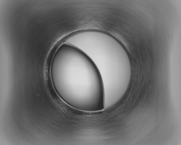 X0000112200680200908071243